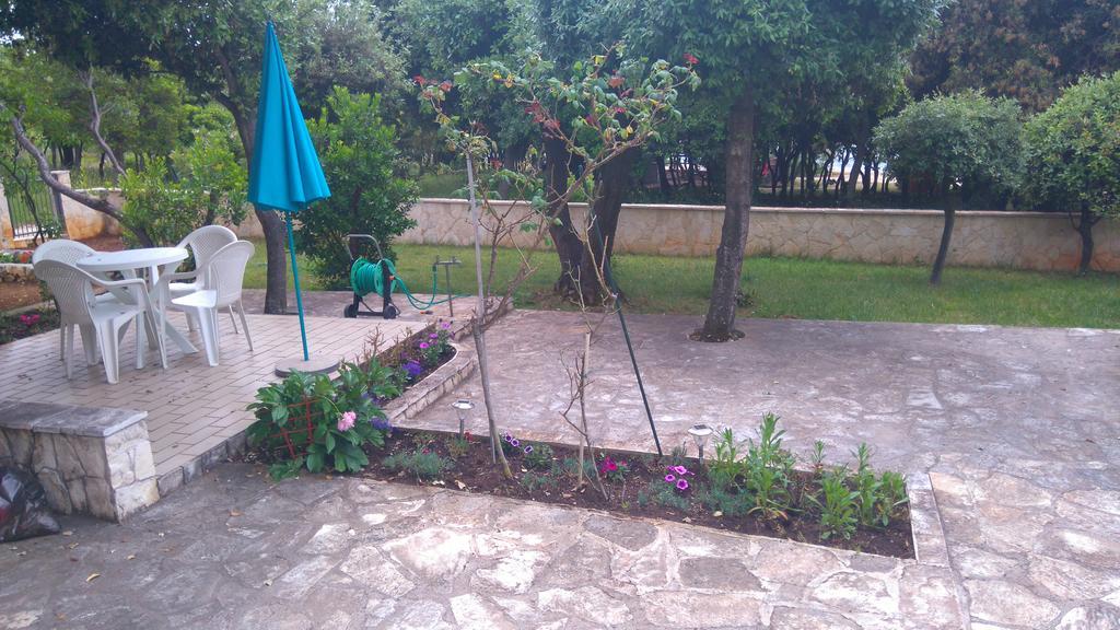 Apartment Basic Petrcane Esterno foto