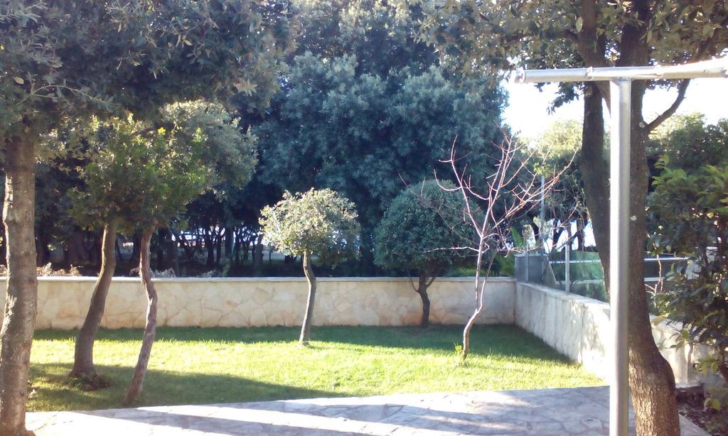 Apartment Basic Petrcane Esterno foto